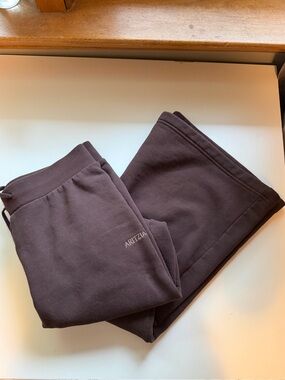 Aritzia Cozy SweatFleece Snug Fit Sweatpants